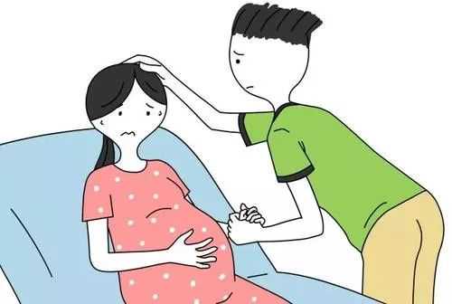 广州怎样找助孕女，广州疾控：广州进入登革热流行期