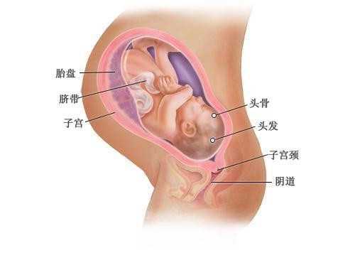 孕妇睡多长时间最佳保证7-8小时睡眠北京代代孕