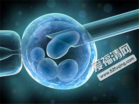 杭州孩子会遗传代理孕母吗,杭州借卵子试管失败