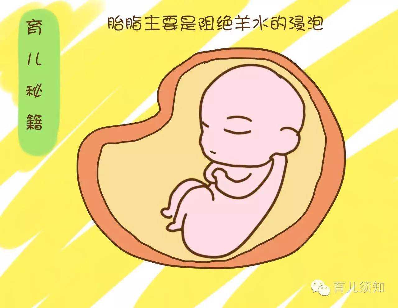 广州对供卵生的孩子的情感广州试管混血宝宝多