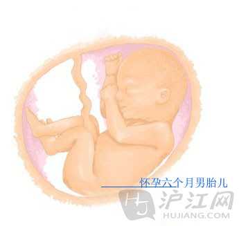 广州代孕危险吗_广州代孕咨询_广州在哪里寻找代孕妈妈