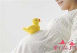 天津在公立医院供卵需要多少钱,天津代怀公司流程