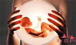 百合可以生孩子了_北京拉拉骨髓生子案例_试管婴儿取卵后，如何让卵巢更快恢