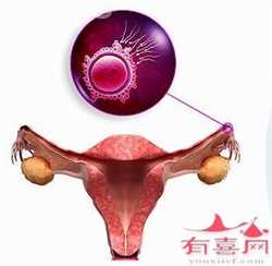 广州做供卵去哪个医院，广州做孕前检查哪家医院好