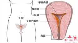 广州寻找代妈，广州输卵管不畅初期症状治疗-广州输卵管不畅哪