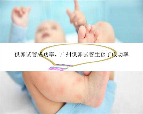 供卵试管成功率，广州供卵试管生孩子成功率
