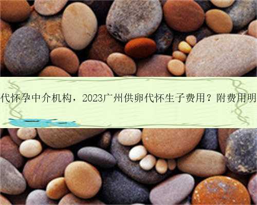 广州代怀孕中介机构，2023广州供卵代怀生子费用？附费用明细？