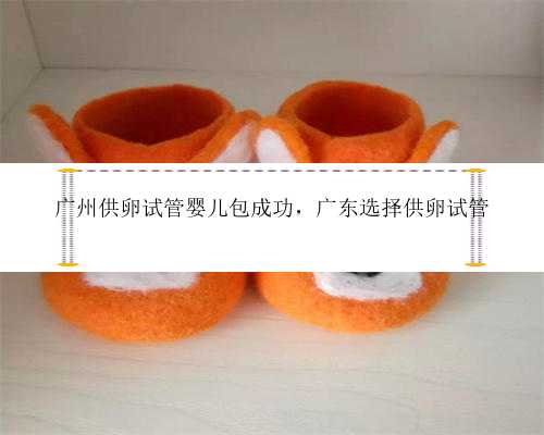 广州供卵试管婴儿包成功，广东选择供卵试管